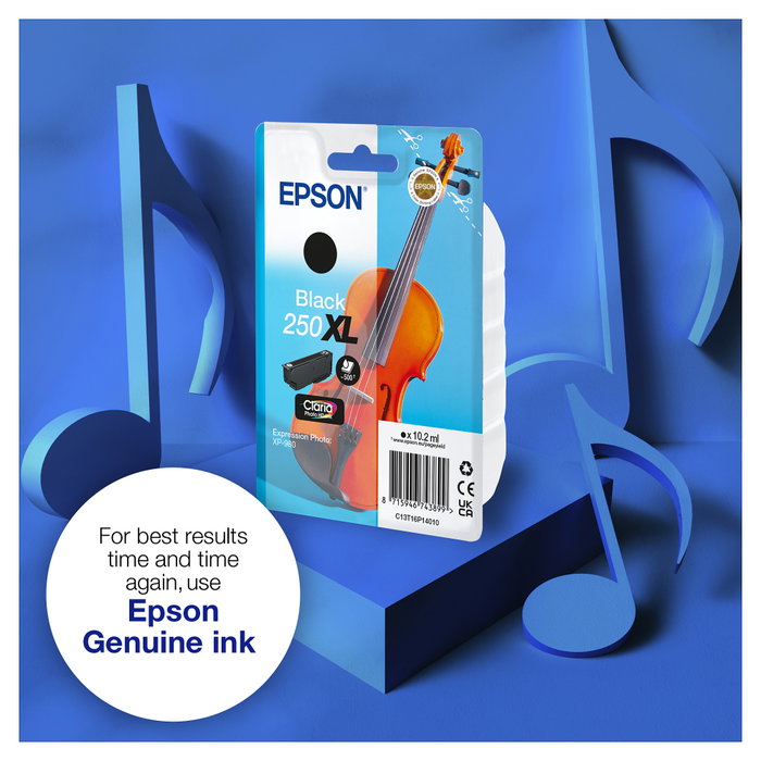 Epson 250XL Negro C13T16P14010
