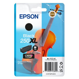 Epson 250XL Negro C13T16P14010