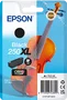 Epson 250XL Negro C13T16P14010