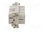 LAPP EPIC H-D Plantilla de Contacto Hembra HDC 40 PIN