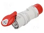 SEZ DK Adaptador de transición IEC 60309 A 1653/43
