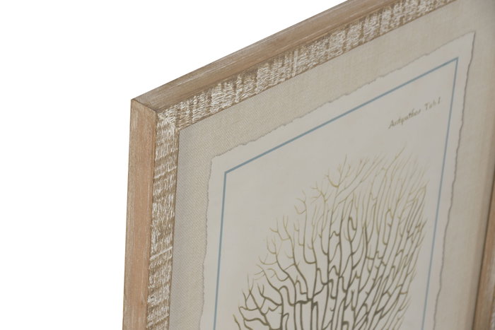 DKD Home Decor Cuadro Cristal Abeto 35x2,5x45 Coral Surtido de 6 piezas
