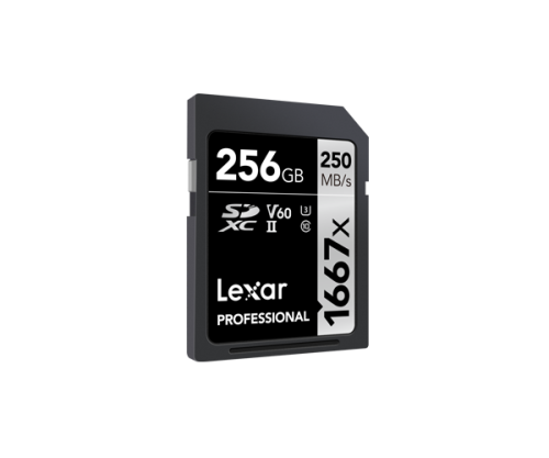 Lexar Tarjeta SDXC 256 GB UHS-II Clase 10 V60 U3 LSD256CB1667