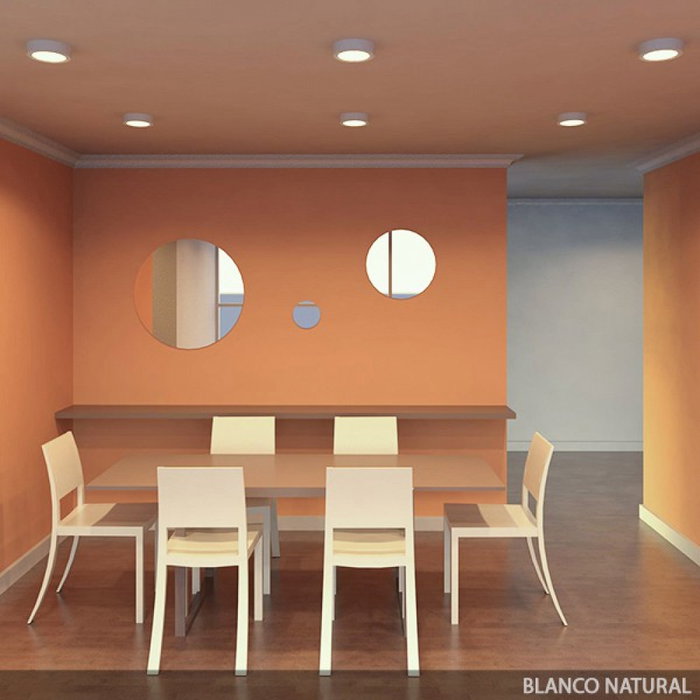 Plafón LED Circular 12W Blanco Frío 6000K 1200Lm