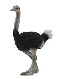 Collecta 88459 Avestruz Réplica a Escala L Pintada a Mano Colección Animales Salvajes +3 años