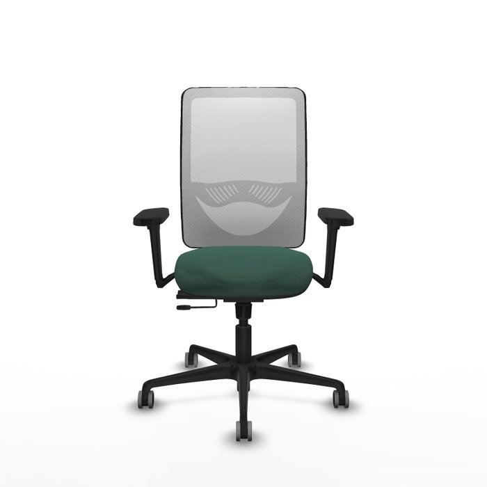PIQUERAS Y CRESPO Silla de oficina Zulema con mecanismo Sincro/Traslack Verde botella y Blanco PIQUERAS Y CRESPO Silla de oficina Zulema con mecanismo Sincro/Traslack Verde botella y Blanco