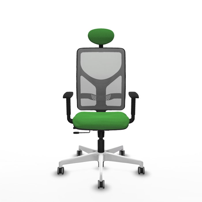 PIQUERAS Y CRESPO Silla de oficina Motilla con mecanismo Sincro/Traslack, Tela Verde y Malla Gris PIQUERAS Y CRESPO Silla de oficina Motilla con mecanismo Sincro/Traslack, Tela Verde y Malla Gris
