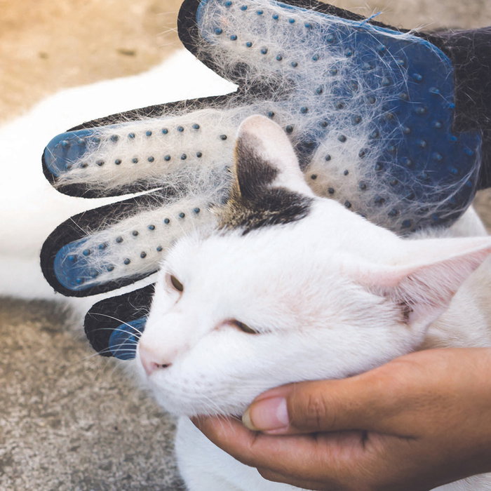 Je cherche une Idee Guante Quita-Pelos Animal Je cherche une Idee Guante Quita-Pelos Animal
