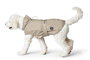 Hunter Abrigo Milford 30 cm Beige, Impermeable y Cortavientos, Ajustable Cuello y Vientre, Poliéster