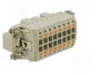 LAPP Conector Industrial EPIC® H-BE 016 MQL HDC
