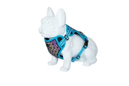 Freedog Arnés Boreal Azul Capri 15 mm Cuello 32-48 cm Pecho 34-63