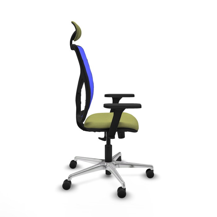 PIQUERAS Y CRESPO Silla de oficina Motilla con mecanismo Sincro, Verde oliva y Azul PIQUERAS Y CRESPO Silla de oficina Motilla con mecanismo Sincro, Verde oliva y Azul
