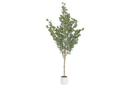DKD Home Decor Árbol de Eucalipto Verde y Blanco 50x50x178 cm