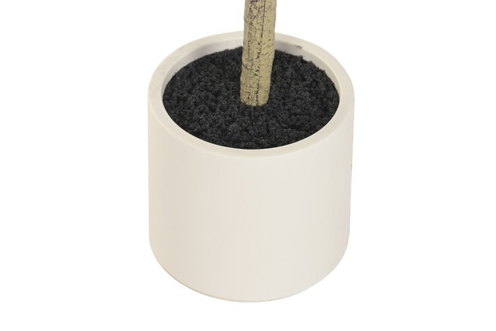 DKD Home Decor Árbol de Eucalipto Verde y Blanco 50x50x178 cm DKD Home Decor Árbol de Eucalipto Verde y Blanco 50x50x178 cm