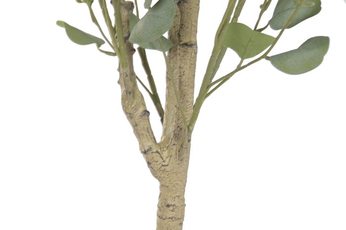 DKD Home Decor Árbol de Eucalipto Verde y Blanco 50x50x178 cm DKD Home Decor Árbol de Eucalipto Verde y Blanco 50x50x178 cm