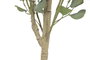 DKD Home Decor Árbol de Eucalipto Verde y Blanco 50x50x178 cm