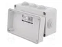 ELEKTRO-PLAST NASIELSK Caja de conexiones gris IP55