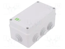 ELEKTRO-PLAST NASIELSK Caja de conexiones gris IP55