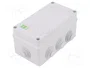 ELEKTRO-PLAST NASIELSK Caja de conexiones gris IP55
