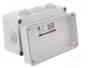 ELEKTRO-PLAST NASIELSK Caja de conexiones gris IP55