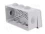 ELEKTRO-PLAST NASIELSK Caja de conexiones gris IP55