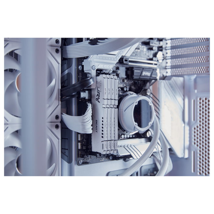 Kingston FURY Beast White EXPO 64GB DDR5 CL32 6400MT/s DIMM Kit of 2 Kingston FURY Beast White EXPO 64GB DDR5 CL32 6400MT/s DIMM Kit of 2