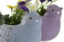 DKD Home Decor Figura de Pájaro en Dolomita 18x14x17,5 cm