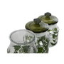 DKD Home Decor Set de 3 Botes de Cristal Botánico Verde