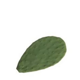Summa Premium Plato de porcelana con motivo Cactus, color verde, 18x10x1 cm (Set de 3)