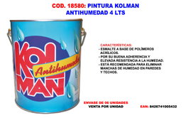 Kolman Pintura Antihumedad al Disolvente Blanco 4 LT