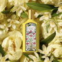 Gucci Flora Gorgeous Orchid Eau de Parfum 50 ml