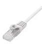 Phasak Cable de Red RJ45 UTP PHK 1552 Cat.6 25cm (0.25 m), Conectores Macho, Color Gris, CCA 26AWG