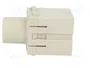 HARTING Han-Modular® Módulo Macho HDC 200A 1kV