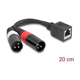 DeLOCK Cable Adaptador RJ45 Hembra a 2 x XLR 3 Pin Macho Negro 20 cm