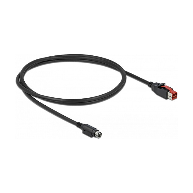 DeLOCK Cable PoweredUSB 24 V a Mini-DIN 3 Pin 3 m