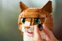 LEGO Ideas Gata Naranja