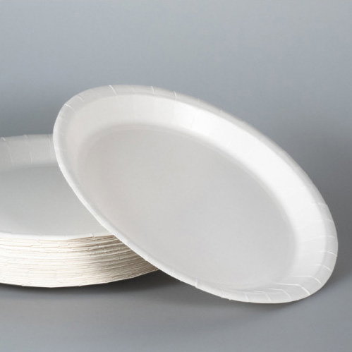 Algon Set de 24 Platos Desechables de 20 cm Algon Set de 24 Platos Desechables de 20 cm