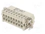 LAPP EPIC H-A Plantilla de contacto HDC Macho 16 PIN 16A