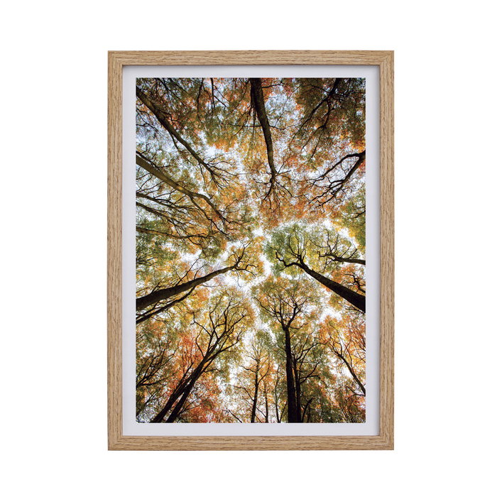 Day Marco de Fotos 21x30 cm (Pack de 12 unidades)