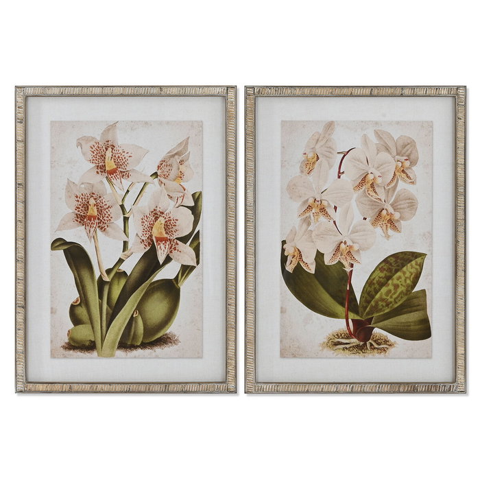 DKD Home Decor Set de 2 Cuadros de Cristal y Ratán Orquídeas Tropicales 50x70 cm DKD Home Decor Set de 2 Cuadros de Cristal y Ratán Orquídeas Tropicales 50x70 cm
