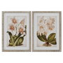 DKD Home Decor Set de 2 Cuadros de Cristal y Ratán Orquídeas Tropicales 50x70 cm