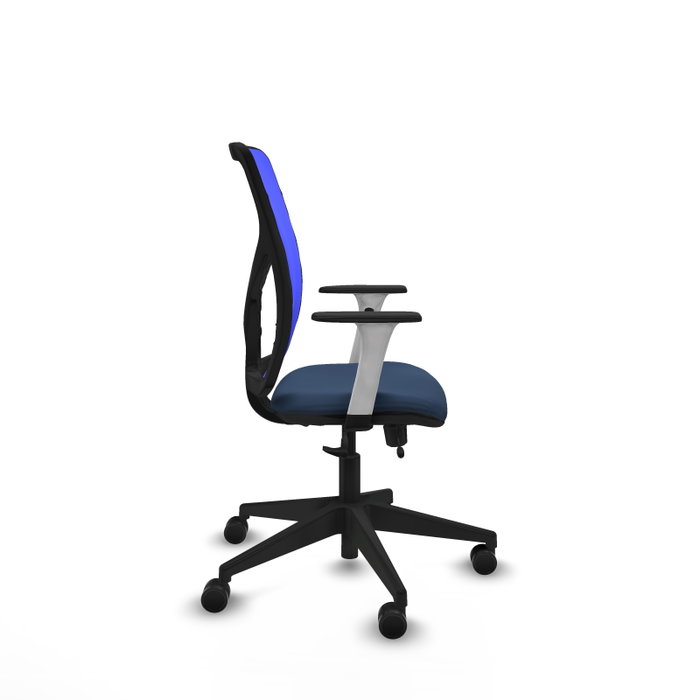 PIQUERAS Y CRESPO Silla de oficina Motilla con mecanismo Sincro/Traslack Azul PIQUERAS Y CRESPO Silla de oficina Motilla con mecanismo Sincro/Traslack Azul