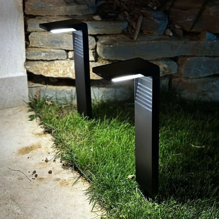 Lumisky Juego de 2 balizas solares para plantar Ostry LED blanco frío