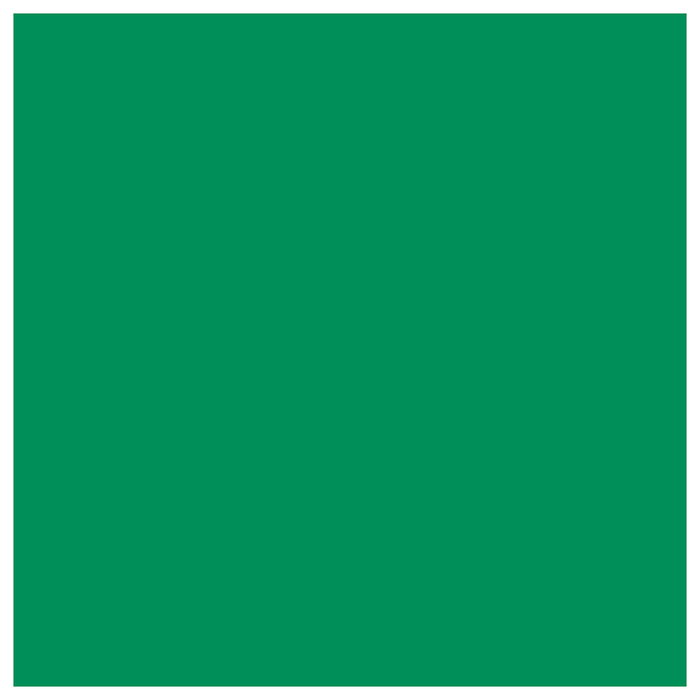 Cricut Premium Permanent Rollo de vinilo de termotransferencia Menta 30x120cm