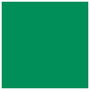Cricut Premium Permanent Rollo de vinilo de termotransferencia Menta 30x120cm
