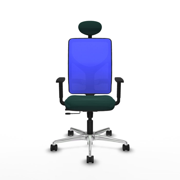 PIQUERAS Y CRESPO Silla de oficina Motilla con Mecanismo Sincro/Traslack, Verde botella y Azul PIQUERAS Y CRESPO Silla de oficina Motilla con Mecanismo Sincro/Traslack, Verde botella y Azul
