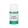 EQUISALUD Holofit Astragalus 50 cápsulas