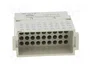 HARTING Conector módulo macho Han-Modular® 36 pines