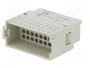 HARTING Conector módulo macho Han-Modular® 36 pines