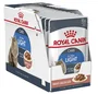 Royal Canin Feline Ultra Light Gravy 12 Bolsitas x 85g